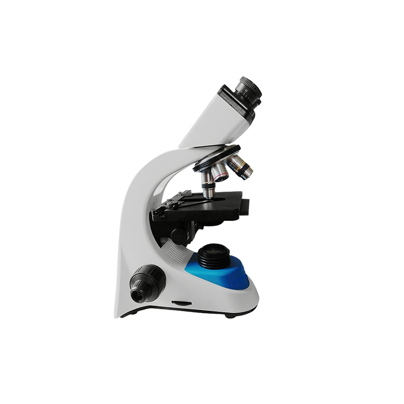 Xs-208 Series Laboratory Biological Electron USD Microscope Digital in Stock for Lab