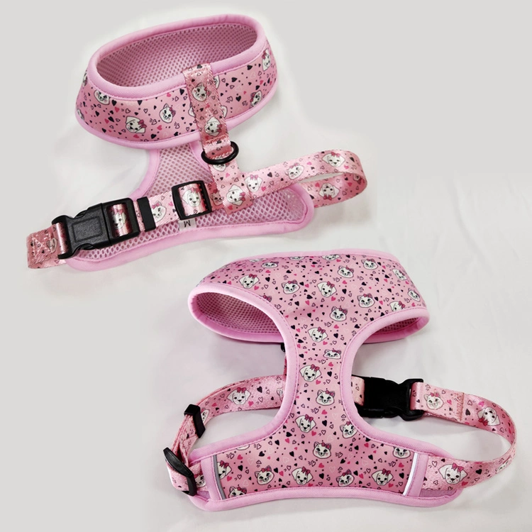 Professionelle Haustier Lieferanten Einstellbare Maßgeschneiderte Muster Hund Halsband Haustier Zubehör Custom Design Hundegeschirr Hundeleine Großhandel/Lieferant