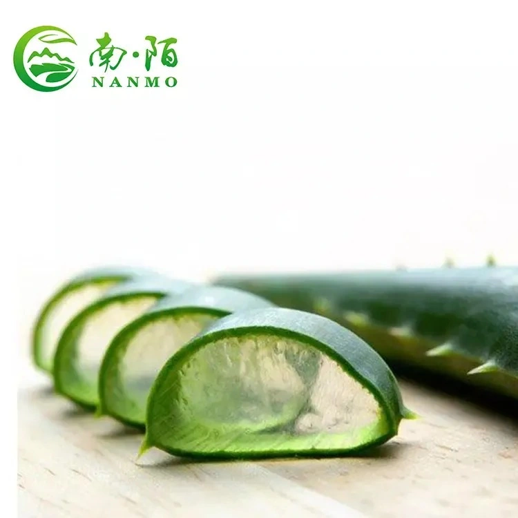 Aloe Vera 200: 1 Powder Aloe Vera Extract Powder Aloe Barbadensis Extract