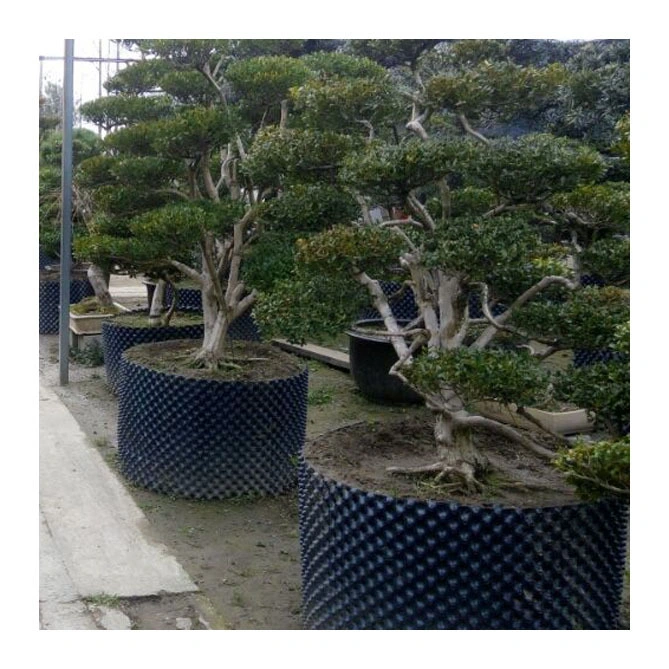 Plastic Air Pruning Container PE or PVC Big Tree and Plant Grow Plastic Pot Vacuum Forming Machine