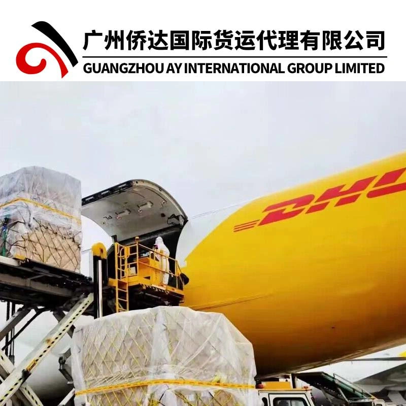 O ar/mar//ferroviário/rodoviário de carga ferroviária/Shipping da China para a Alemanha DDP porta a porta da bateria do agente/Electric scooters/Cosméticos Amazônia Forwarder Fba Logistics