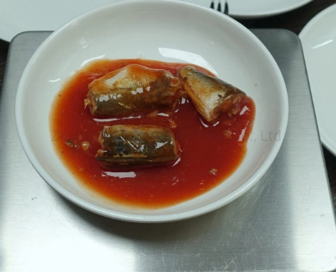 Distributor of Sea Food Canned Sardines Fish in Tomato Sauce with Customized Brand