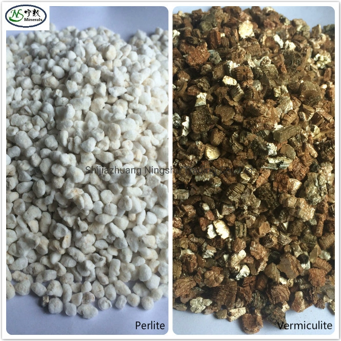 Planting Soil Conditioner Expanded Perlite Granule for Sale