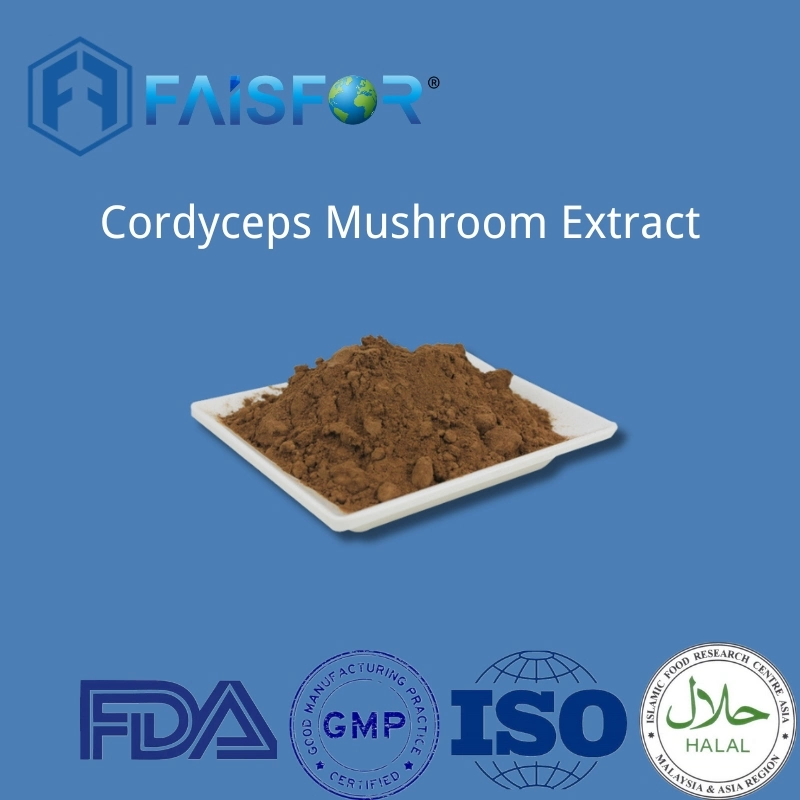 Lebensmittel Additive Cordyceps Pilz Extrakt Pulver Cordyceps Sinensis für Gesundheit Essen