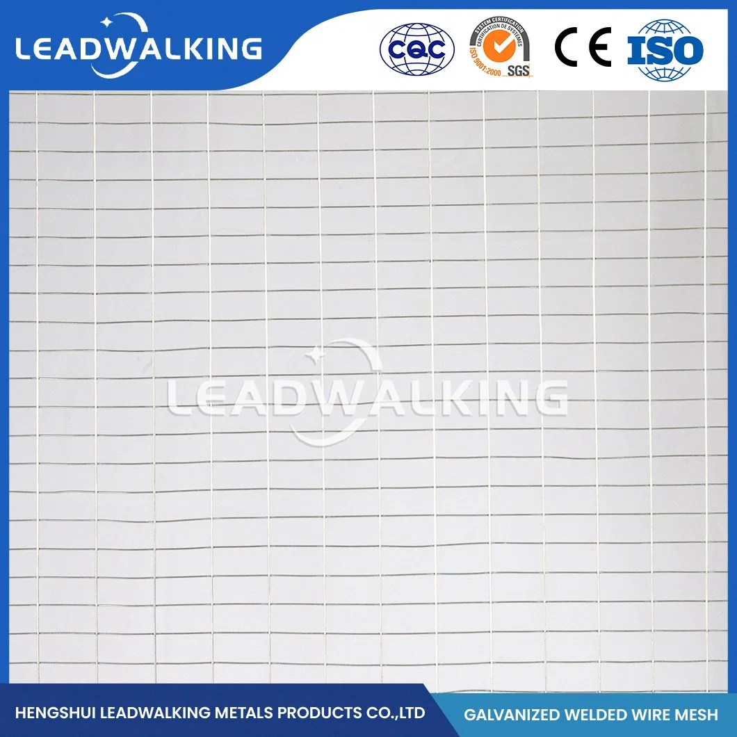 Leadwalking 2X2 enduit de PVC de fournisseurs de treillis métallique soudé ODM Gi personnalisé enduit Treillis soudés de la Chine de 0.5mm d'épaisseur de fil Zinc-Coated Treillis soudés pour rack