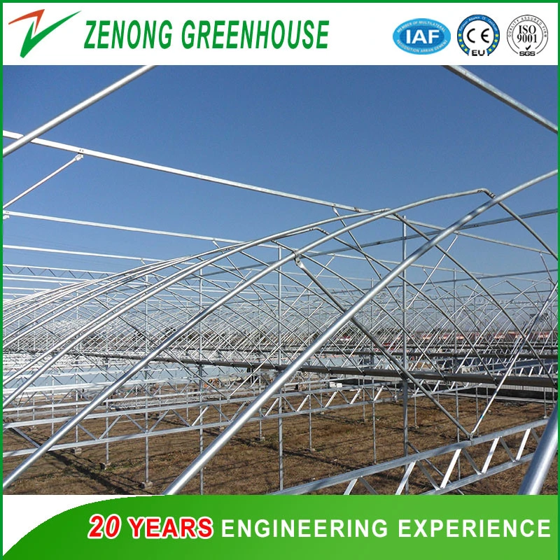 Factory Price Steel Structure Film Greenhouse Materials/Equipment/Cooling Pad/Fan/Irrigation etc.