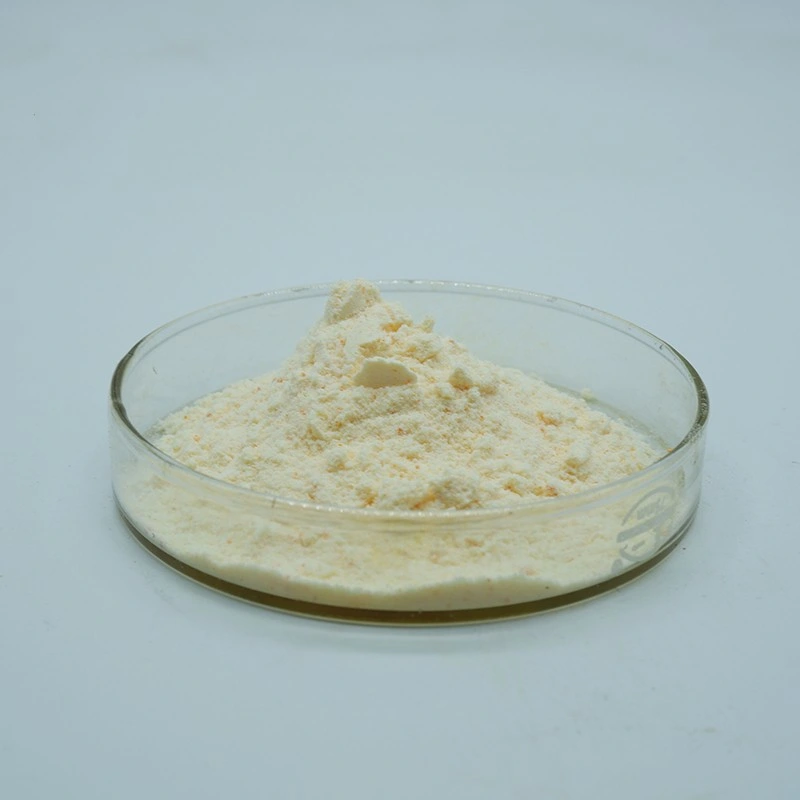 Food Grade Garlic Extract Powder Allicin 1% Feed Grade Garlic Powder