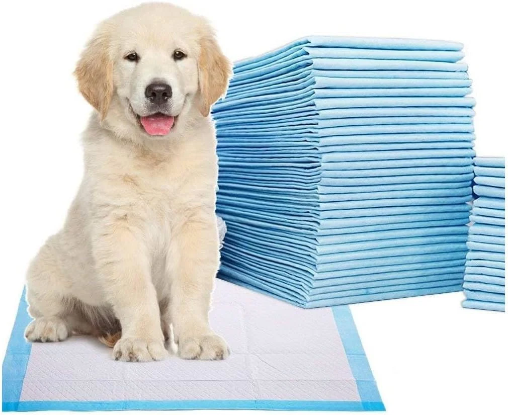 Coussin d'entraînement absorbant pour animaux à usage unique en usine pour chien COUSSIN DE lit PET PEE Pad coussin de refroidissement pour chien PET à changement