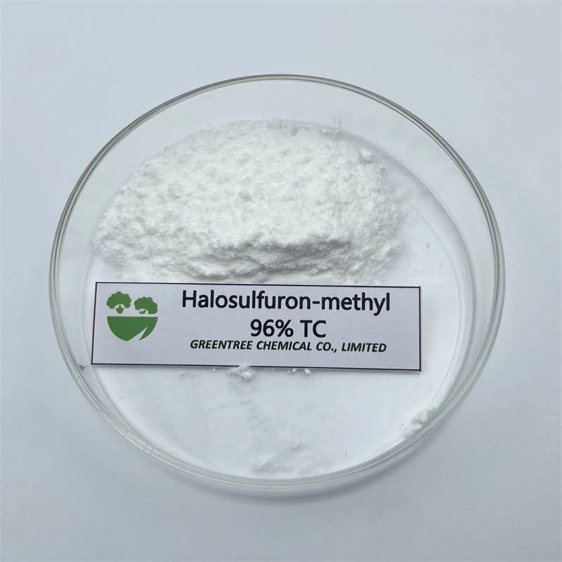 Herbicide for Wheat Corn Paddy Sugarcane Lawn Halosulfuron-Methyl 96% Tc