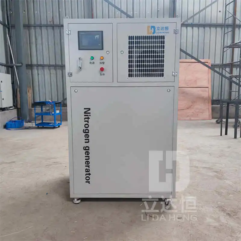 Ldh Gas 100m3 99.99% Compact Skid-Mounted High Purity Electronic and Food Nitrogen Generator