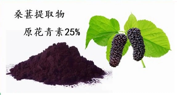 E. K hierba china fabricante de alta calidad 100% de grado alimentario de las Materias Primas orgánica soluble en agua con extracto de la antocianina un 25% de la morera Morus alba L. extracto de fruta de la morera