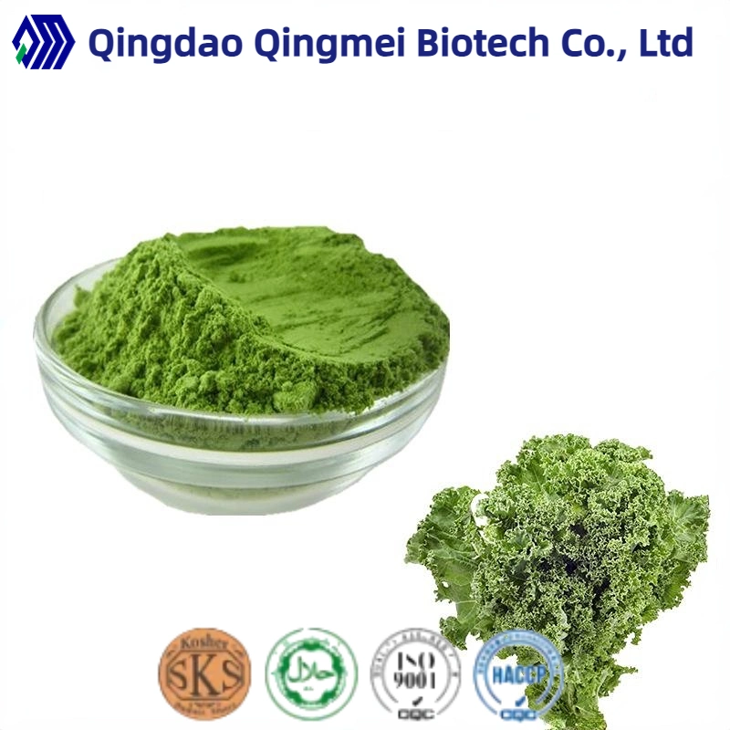 Food Additive Herbal Extract Kale Powder