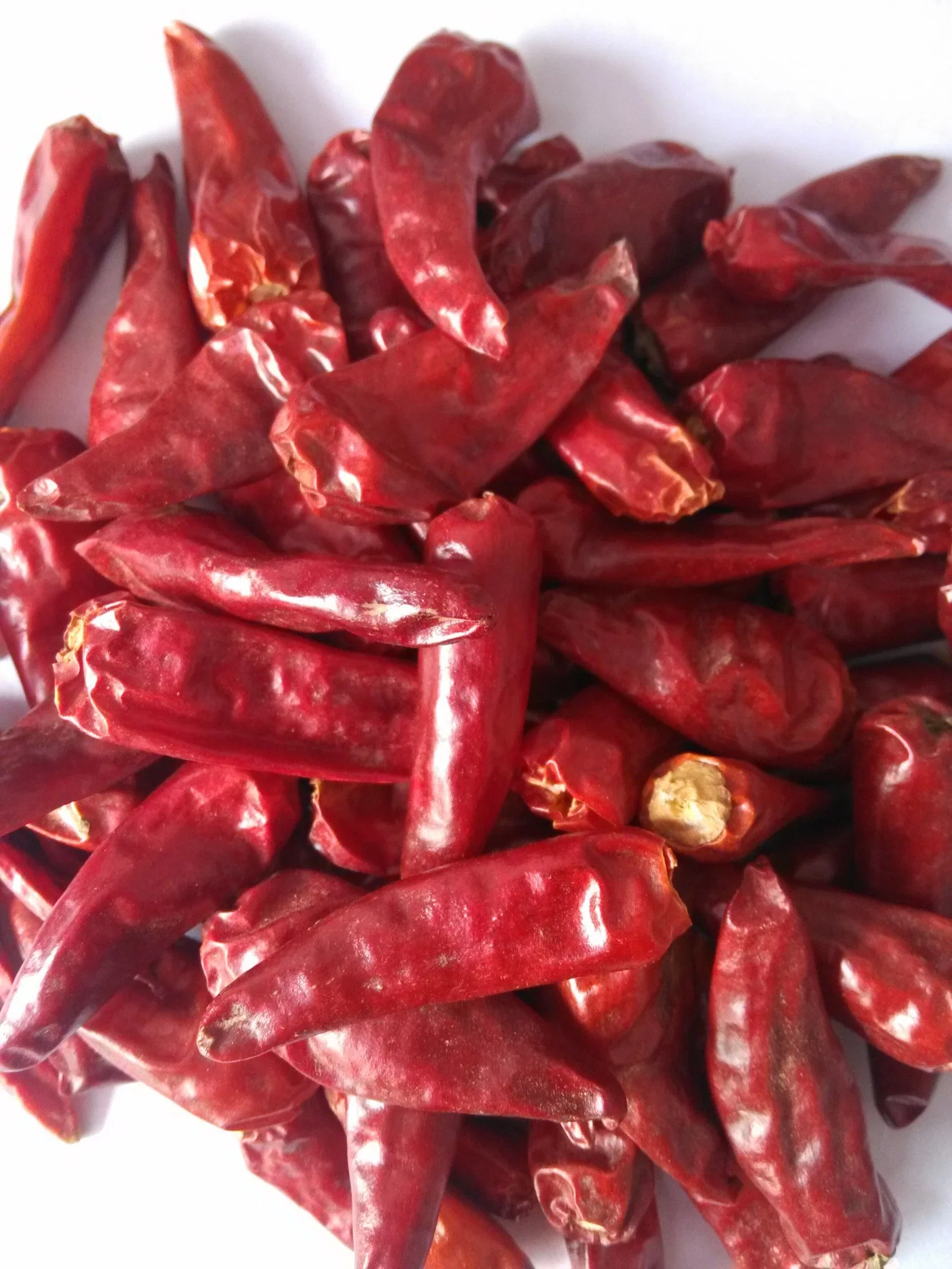 Best Quality Dry Red Chilli