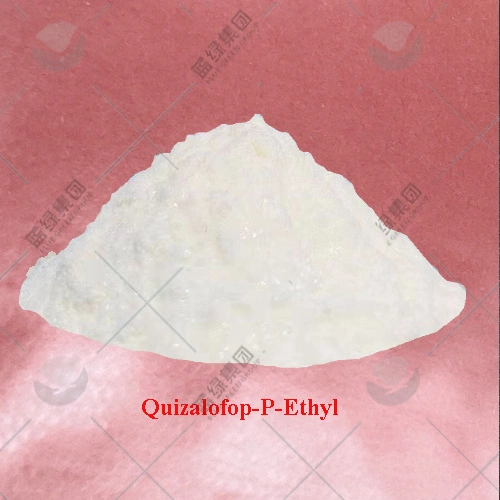 Herbicide Weedicide Fast Delivery 95% Tc Quizalofop-P-Ethyl 5% Ec