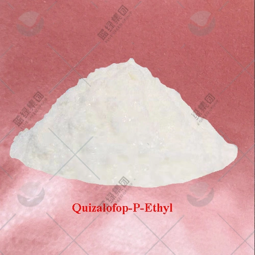 Herbizid Weedizid Schnelle Lieferung 95% TC Quizalofop-P-Ethyl 5% EC