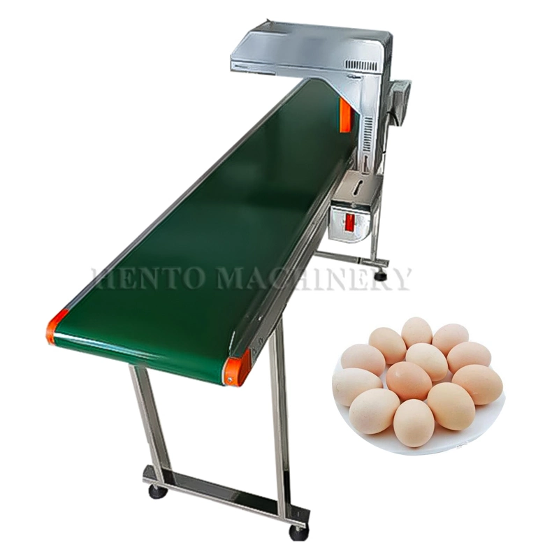 HENTO Factory Automatic Egg Date Coding Printing Machine / Egg Inkjet Printer