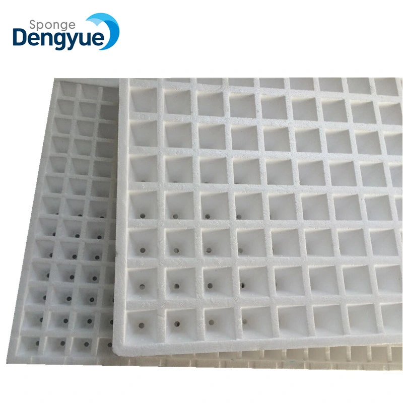 High Quality Hydroponic Systems OEM 162cells Floating Planting Hydroponic Seed Tray