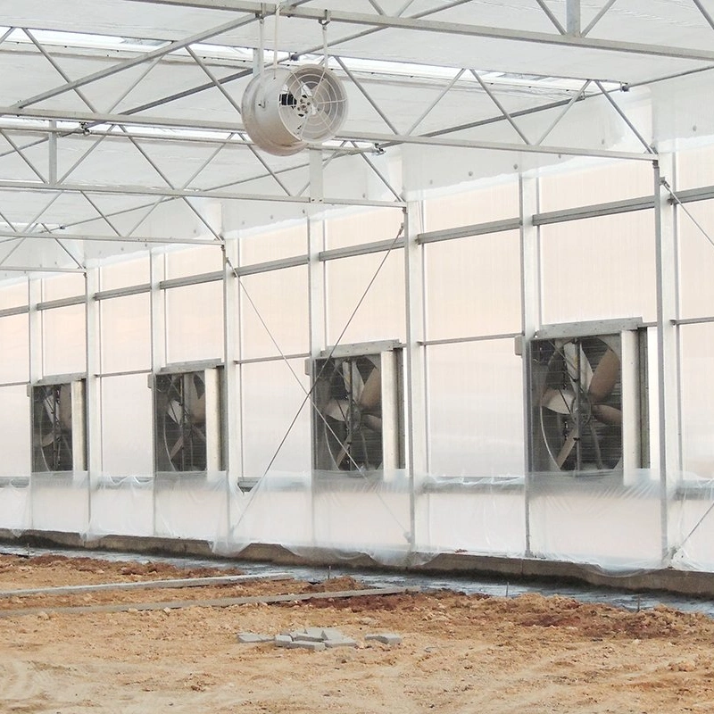 Tunnel Garden Warm Agro Multi Span Greenhouse with Shading System