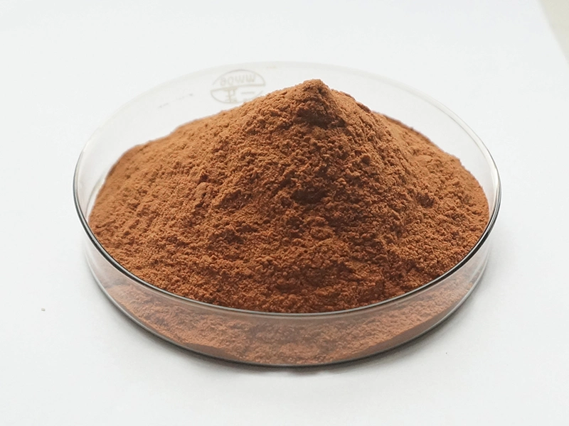 Wholesale/Supplier Freeze Dry Acai Berry Powder Acai Berry Extract