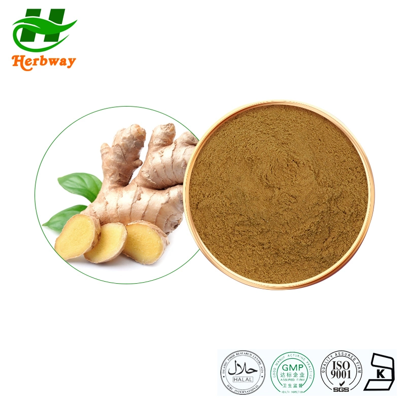 Herbway Anti-Hypertensionfactory Direct Sale Zingiber Officinale Extract Ginger Root Powder