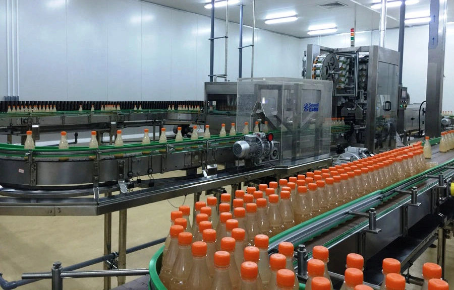 Jugo de la máquina de embalaje automático de la planta de embotellado