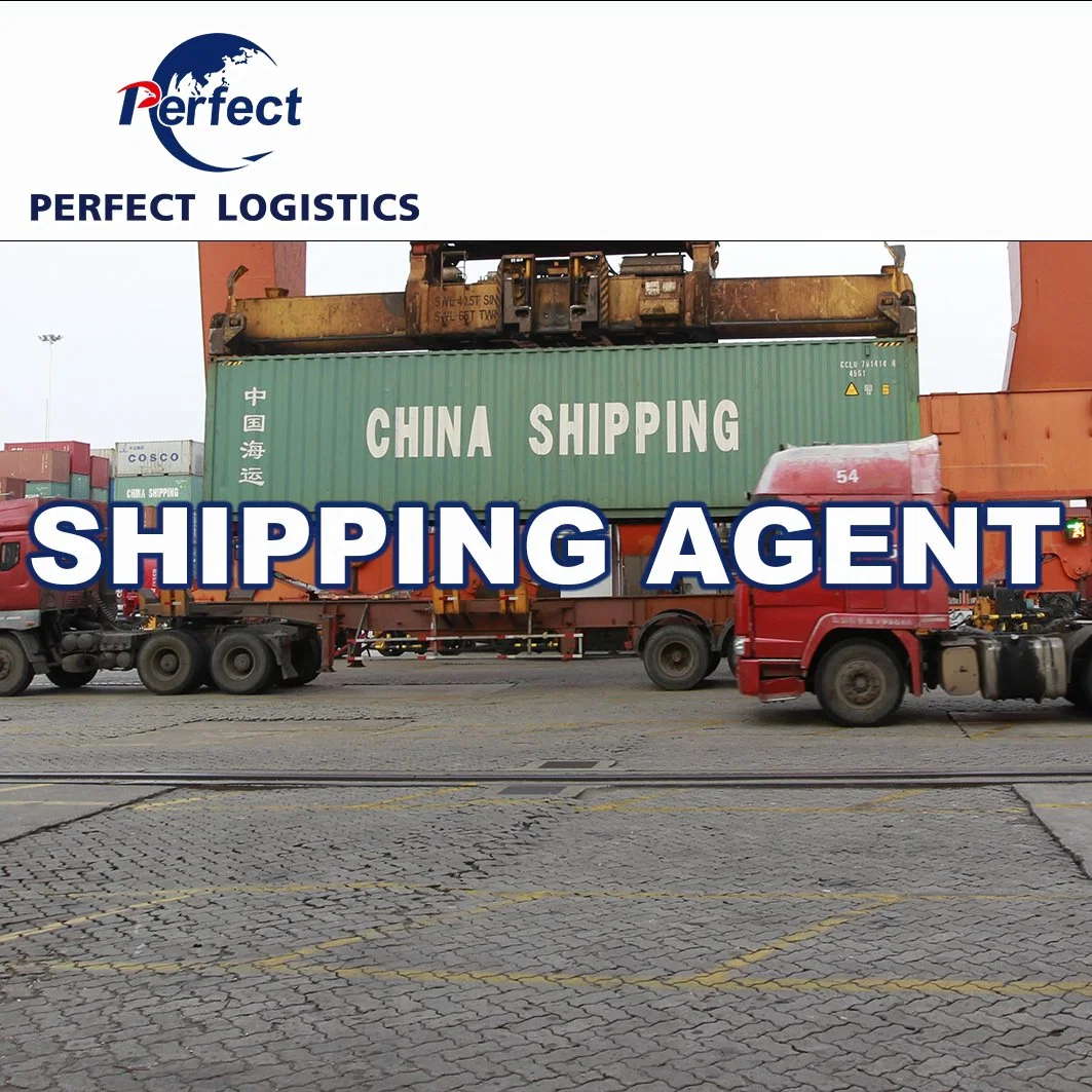 Logistics Agent Ship FCL and LCL Cargo with Cheapest Price Customs and Tax Included to USA/Malaysia/Germany/Saudi Arabia/England