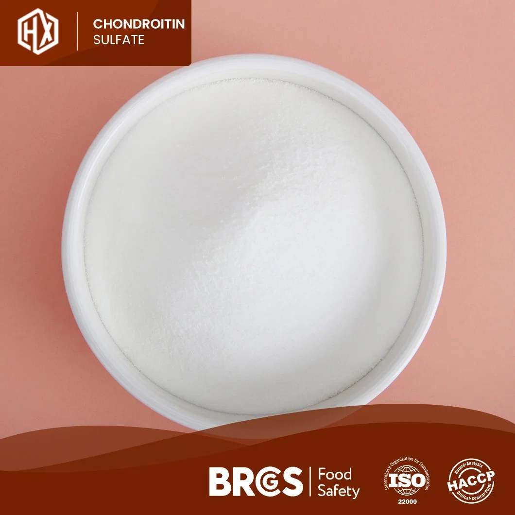 Haoxiang High-Quality Glucosamine Chondroitin Glucosamine Sulfate Msm Powder 99% China off-White Powder Chondroitin Sulfate Pharm Suppliers