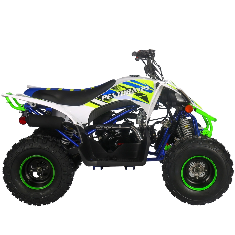 العجلات الأربع 125cc ATV Sport رباعي الدراجة خارج الطريق