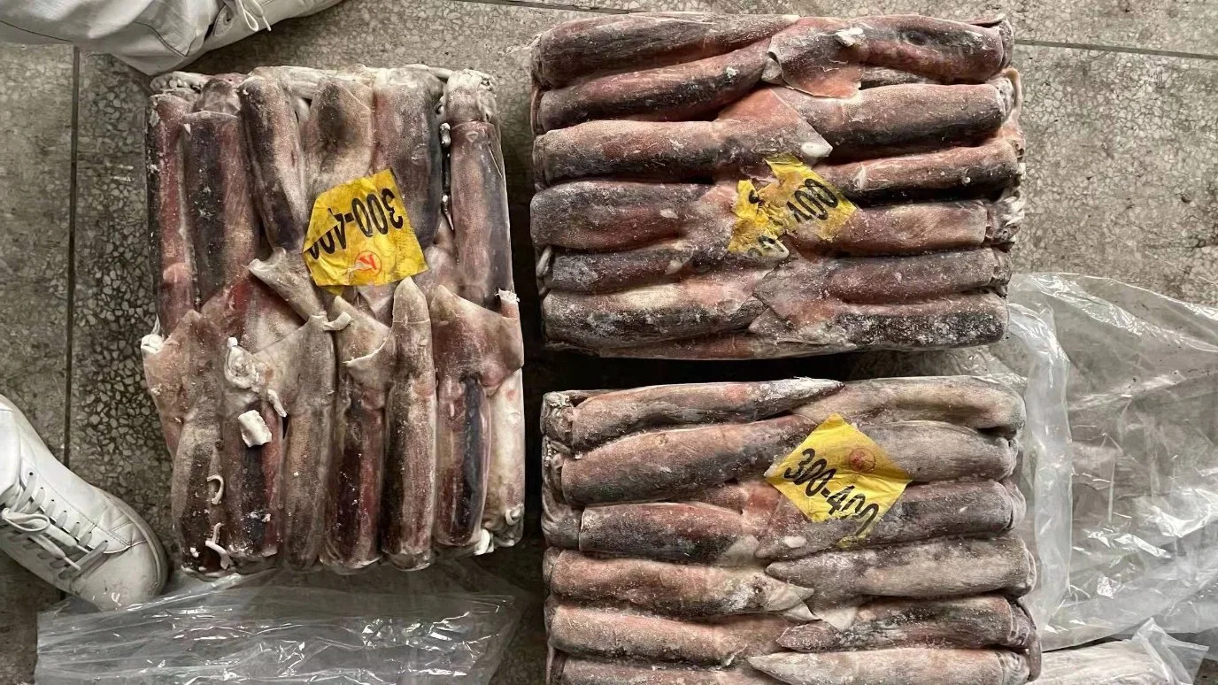 Taiwan Origin Unfixed Weight Illex Squids Frozen Whole Price Argentina Squid