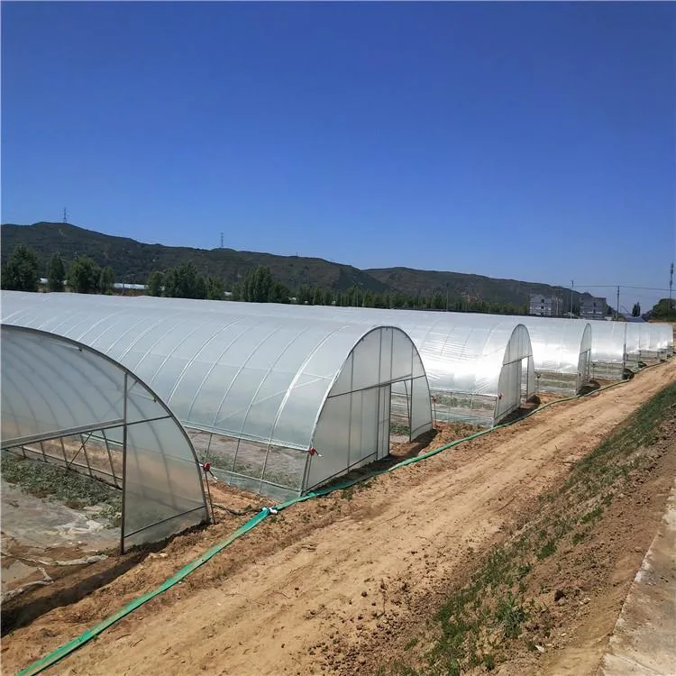 Pequenos agrícolas mini jardim Single-Span Túnel de gases com efeito de filme para venda