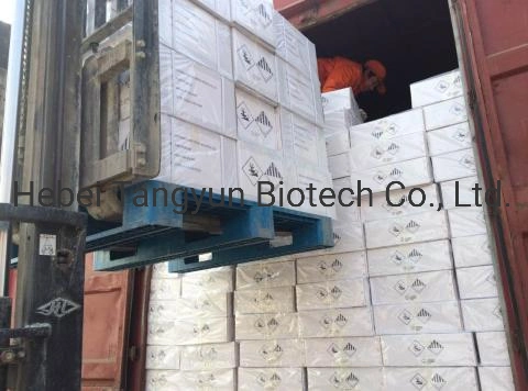 Factory Price Imidacloprid 70%Wdg Pesticide & Insecticides