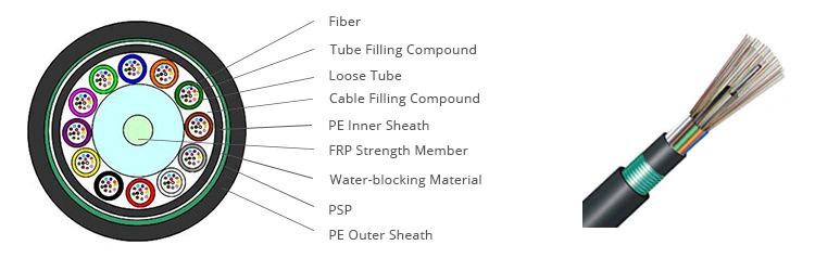 Optical Fiber 24 Fibers Single-Mode Single Armor Double Jackets Stranded Loose Tube FRP Strength Member Waterproof Outdoor Cable - GYFTY53