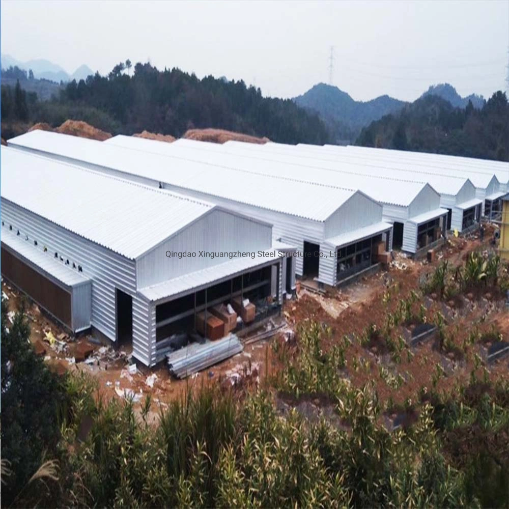 Factory Supply Automatic Prefab Steel Structure Animal House Poultry Farms Construction