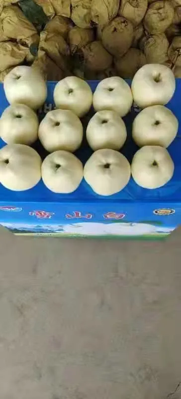 Fruits 18kg carton Golden Apple