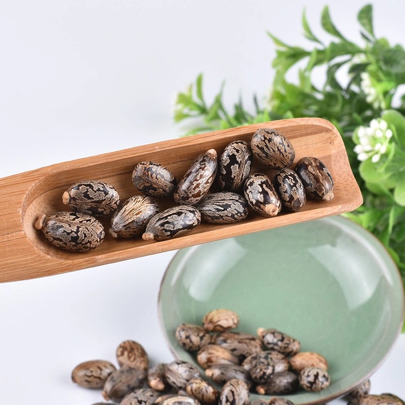 Health Care Food Herbal Medicine Chinese Herbs Ricinus