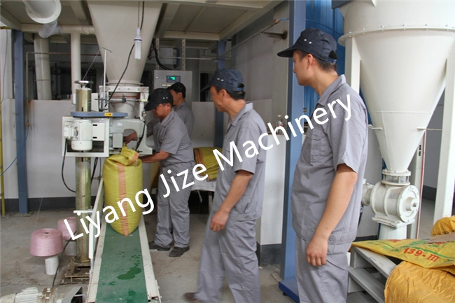 1-99kg 200-300bags/H Granular Powder Packing Machine with Sewing Heat Sealing