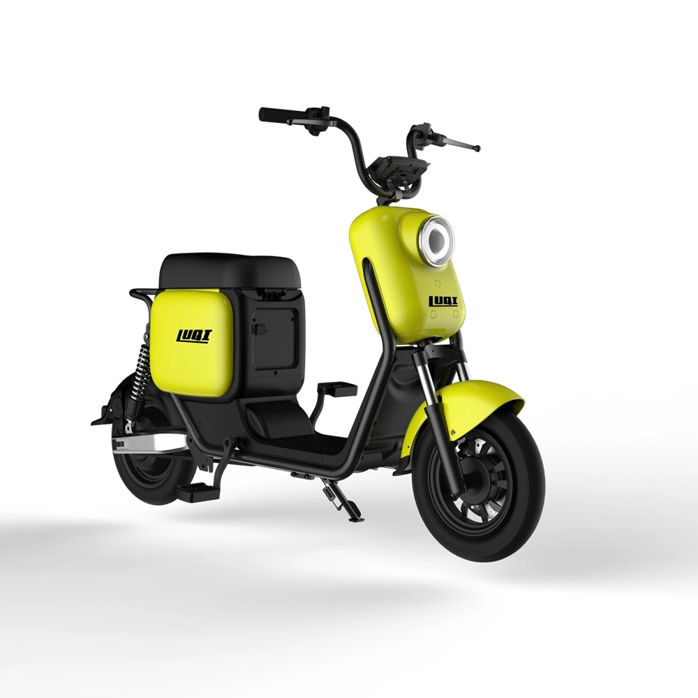Mini Design novateur de bicyclette 10 pouces CEE/CE Citycoco électrique avec boîtier arrière à venir bientôt