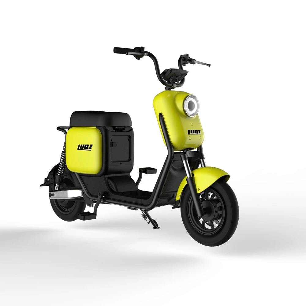 Bicicleta Mini Diseño innovador de 10 pulgadas CEE/CE Citycoco eléctrico con una caja de próximamente.