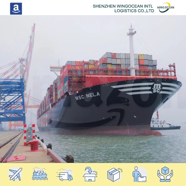 FCL LCL Sea Transport Shipping Cost From China to USA / Europe/ Africa/ Asia/ Australia/ Middle East/ South America