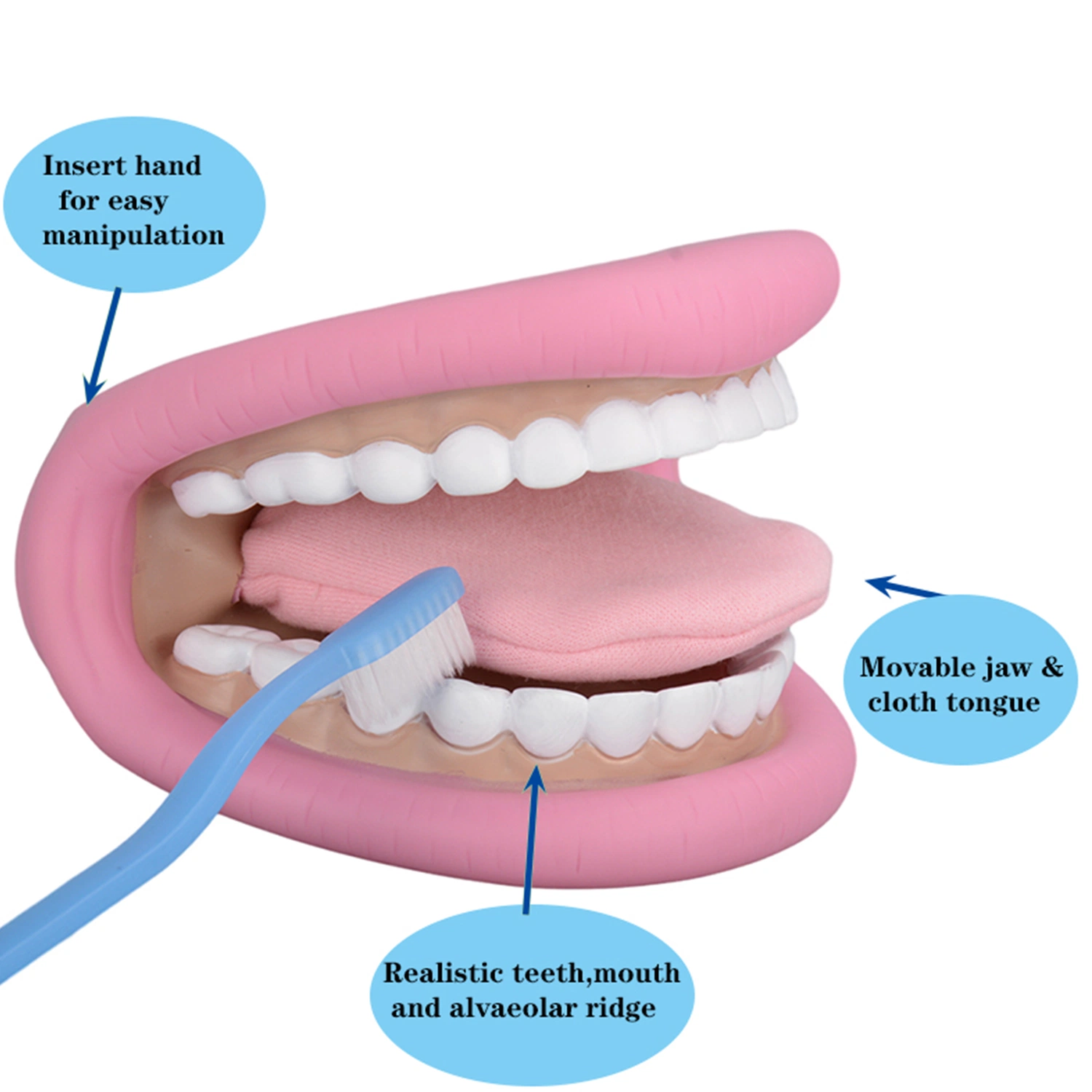 Mouth Hand Puppet with Tongue for Kids and Speech Therapy