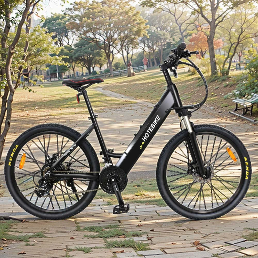 Factory Direct China Alta velocidad bicicleta eléctrica 750W 1000W oculto Batería MID Drive Electric Bike 48V Electric Bike