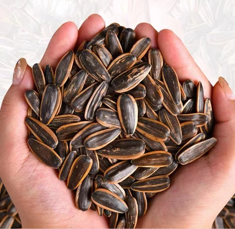 China Factory Supplier Roasted Various Flavor Sunflower Seeds Nut