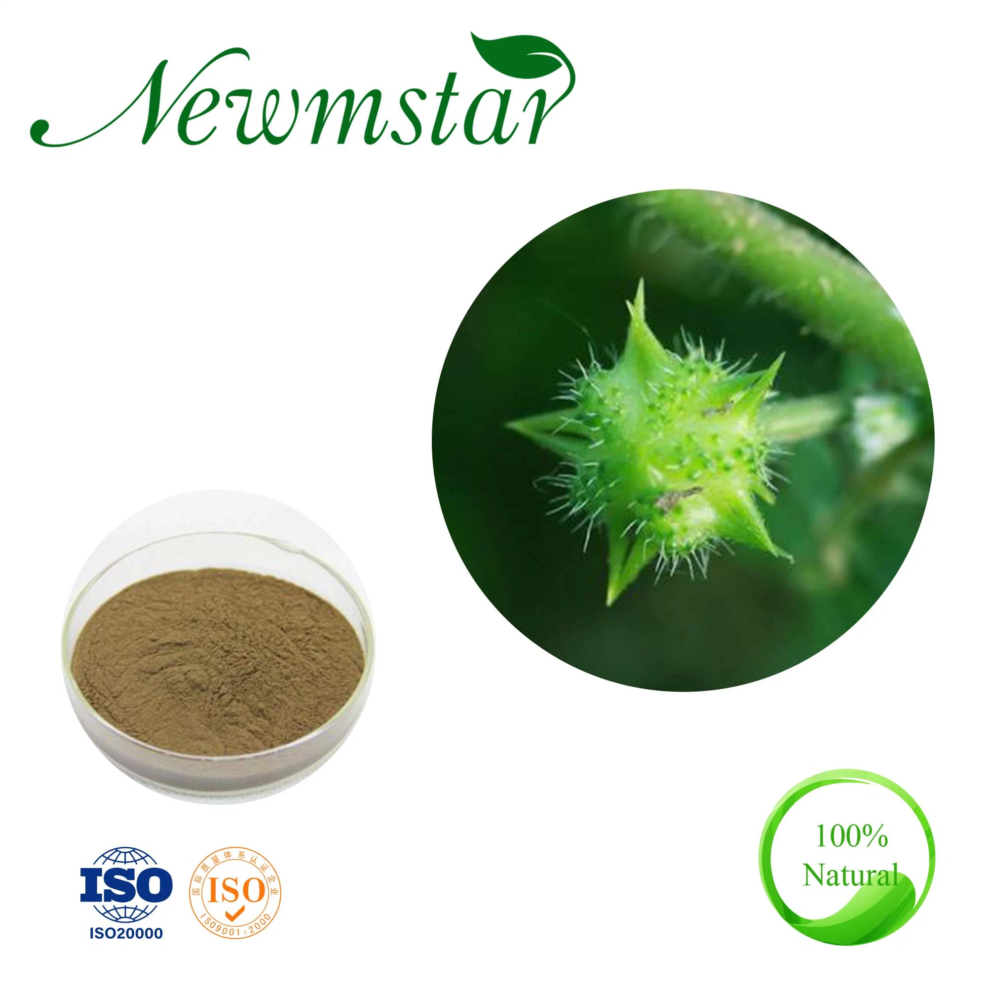 Qualidade elevada Tribulus Terrestris Extrair / Tribulus Terrestris Anti-Aging Cuidados de Saúde Material de Produtos