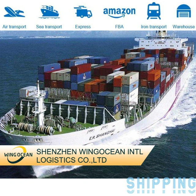 Cheapest and Fastest Excellent Sea Shipping Provider From Shenzhen to France/ Spain/ Italy DDU DDP Logistics Service