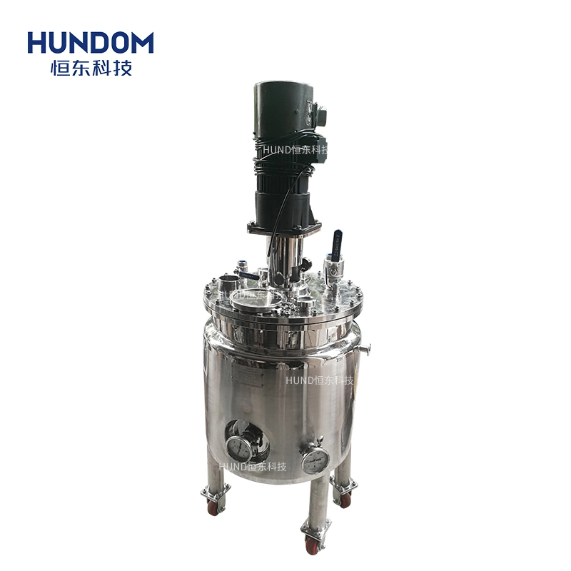 Stainless Steel Chemical Mixing Tank Blender Liquid Mixer Pharmaceutical Reactor