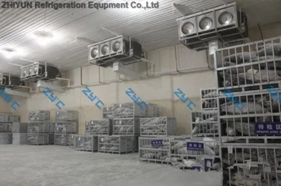 Evaporative Air Cooler Frozen Fish Fillets for Cold Storage Delivery Cold Room