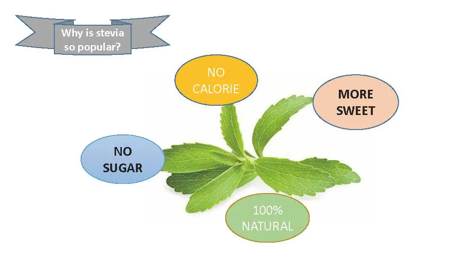 Stevia Food Grade 10 : 1 zéro calorie édulcorant sain ingrédient alimentaire Additif alimentaire des produits chimiques 2938909090 HS