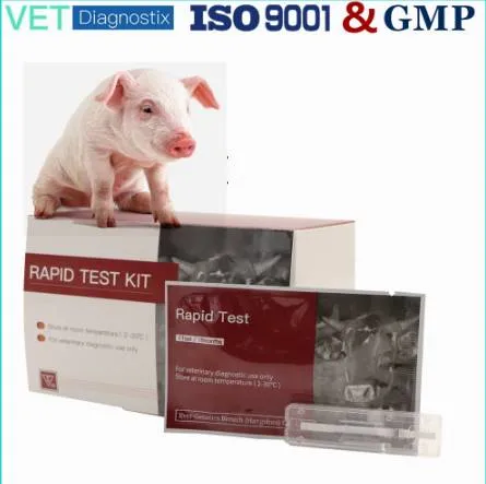 Teste rápido de IgA (PEDV-IgA) do vírus da diarreia epidémica da porcina