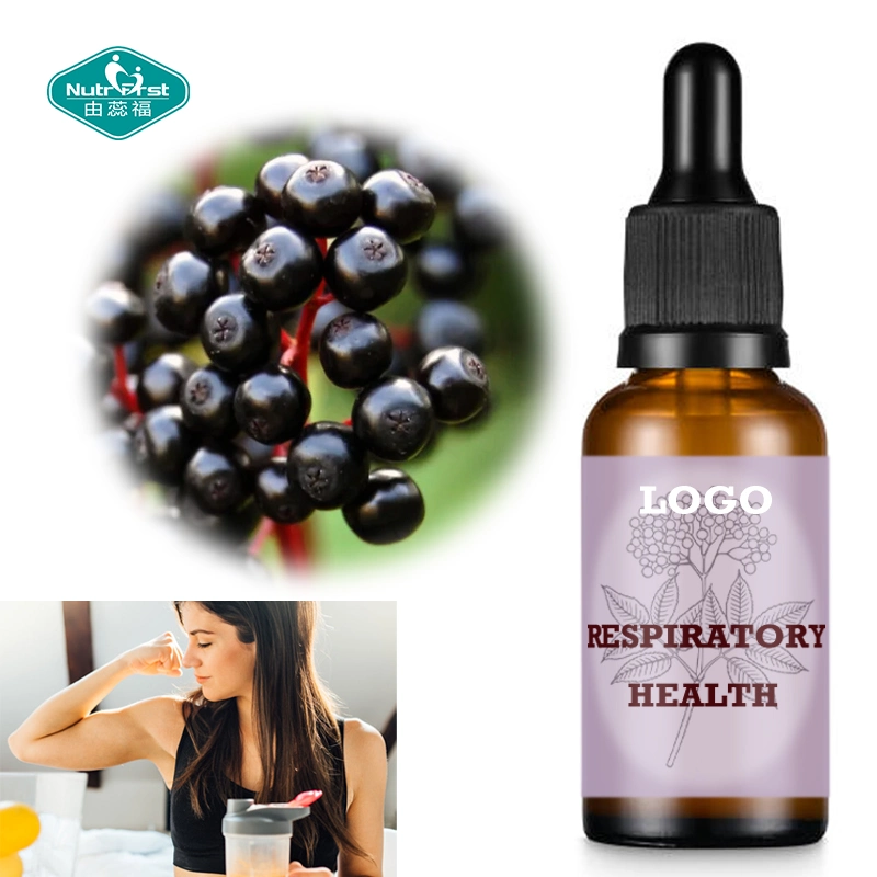 Support immunitaire Black Elderberry vitamine C gouttes liquides pour Upper Santé respiratoire