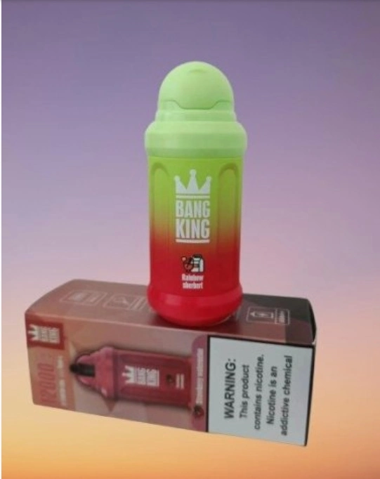 Vente en gros Original Factory jetable E-cigarette Bnag King 12000 Puffs